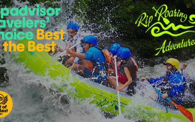 Rip Roaring Adventures Voted No. 1 Family-Friendly Experience In The World On Tripadvisor
