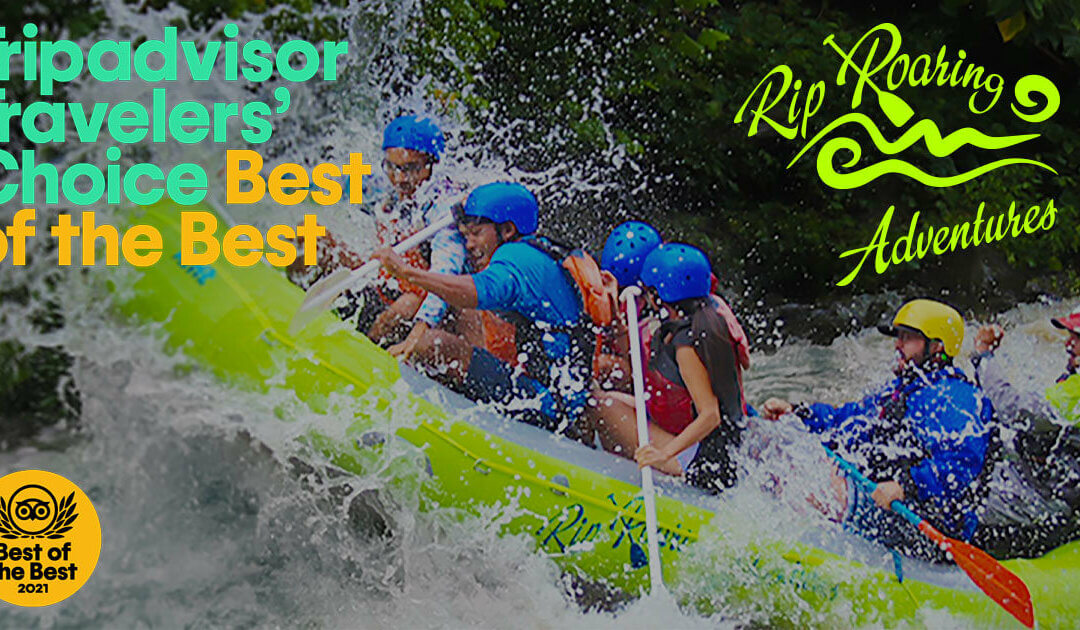Rip Roaring Adventures Voted No. 1 Family-Friendly Experience In The World On Tripadvisor